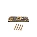 Electric Guitar Neck Plate & 4 Screws For Strat/Tele Style Electric Guitar - Gold & Black