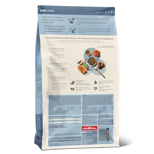 NOW FRESH GOOD GRAVY GRAIN-FREE DRY CAT FOOD WITH SALMON, HEALTHY KIBBLE FOR ADULTS & SENIORS COATED IN BONE BROTH – JUST ADD WATER TO MOISTEN, CHICKEN-FREE RECIPE FOR SENSITIVE STOMACHS, 8 LB BAG