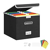 Forlogic File Box Organizer with lid, Collapsible