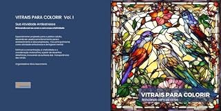 Livro VITRAIS PARA COLORIR: Sua Atividade Antiestresse - Brincando com as cores e com a sua criatividade (AquiAgora Livro 1)