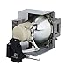 FI Lamps 5J.J7L05.001 for Replacement Projector Lamp for BenQ W1070 W1080ST Projector