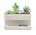 Kikkerland Concrete Desktop Planter, Large (PL02-L)