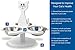ETNA Multi Cat Raised Feeder