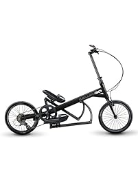 ElliptiGO Arc 8 - The World's First Outdoor Elliptical Bike