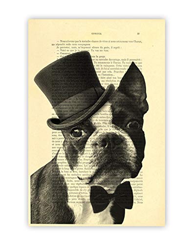 dog top hat