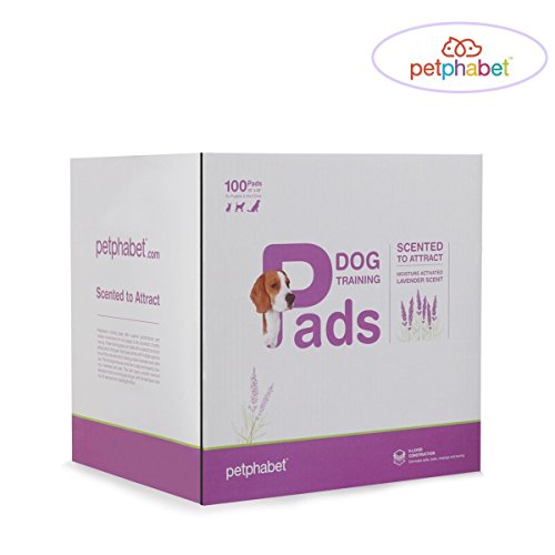 Petphabet 100 Pack Dog Pee Pads 23 by 24 Inches,Lavender Scented Dog