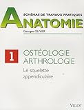 Schémas de travaux pratiques d'ostéologie et d'arthrologie by 