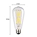 12W Led Filament bulb,Dimmable Edison Style Vintage LED Retro Light Bulb,100W Incandescent Replacement,Natural White 4000K,1200LM, E26 Medium Base Lamp, ST21(ST64) Antique Shape.(2 Pack)