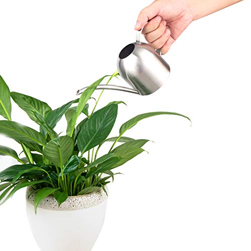 image for IMEEA Mini Watering Can Indoor for Kids House Desk Office Plants Bonsa