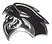 RH Side Hellcat Emblem Direct OEM Fit Replacement for Dodge Mopar 68269896AA / 68269897AA SRT SRT8 RIGHT Fender