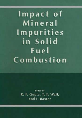 Impact of Mineral Impurities in Solid Fuel Combustion