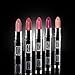 beauty my way 5 PCS MATTE LIPSTICK SET OF MUST HAVE COLORS PROFESSIONAL QUALITY WITH HIGH PIGMENT LOAD