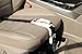 ZUWIT Maternity Car Belt Adjuster, Comfort & Safety for Pregnant Moms Belly, Protect Unborn Baby, for Expectant Mothers - White