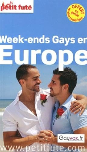 Download Petit Futé Week-ends gays en Europe PDF