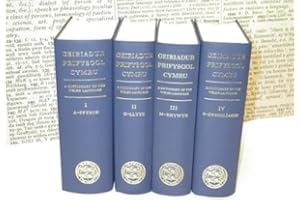 A Dictionary of the Welsh Language, Volume III: M - Rhywyr