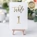 Gold Wedding Table Numbers (Color Options Available), 4x6 Modern Calligraphy Foil Design, Double Sided, Numbers 1-25 (Gold Foil)