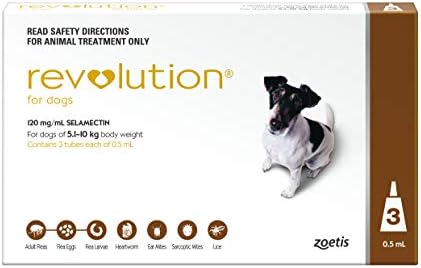 revolution for dogs amazon