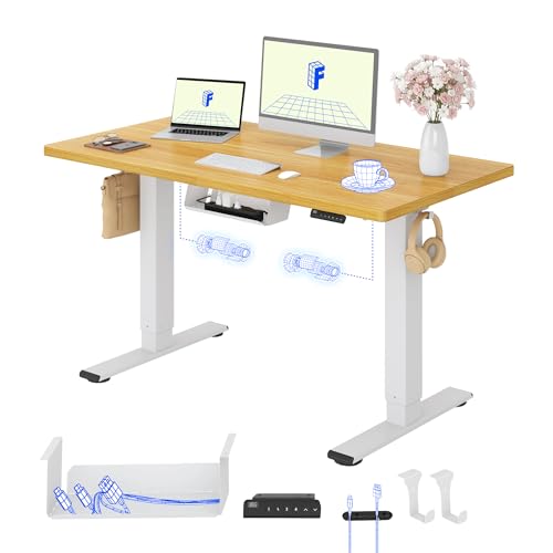 FLEXISPOT Höhenverstellbarer Schreibtisch elektrisch, Doppelmotor 120x80 cm