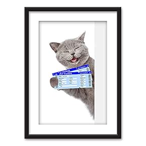 Framed Wall Art - A Cat Air Tickets - Black Picture Frames White Matting - 23x31 inches