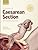 Textbook of Caesarean Section