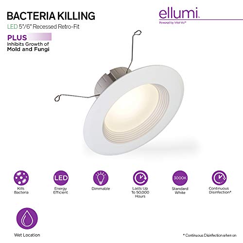 5 Catalina+Lighting+20231+000+Integrated+Disinfections