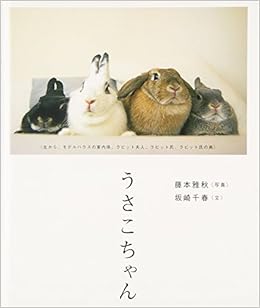 うさこちゃん (日本語) 単行本 – 2003/4/28 の本の表紙