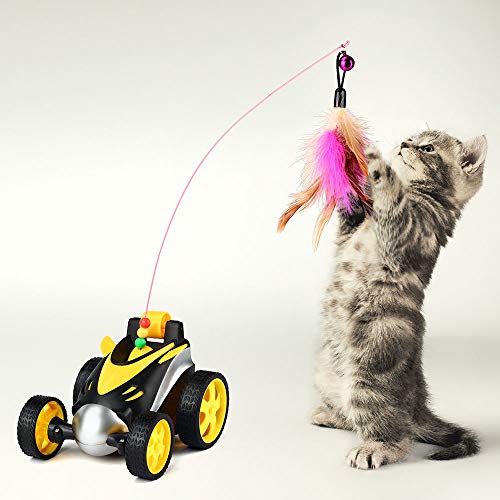 cat remote control car