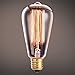 Oak Leaf Edison Bulbs, 40W Incandescent Filament Vintage Antique Style Light Bulb, 2400K Warm White(Amber Glow),Medium Screw Base E26,6 Pack