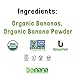 Barnana - Organic Chewy Banana Bites, Original, Chewy Banana Snack, Made With Real Fruit, High In Potassium, Kosher, USDA Organic, Paleo, Gluten-Free, Vegan (3.5 oz, 3-Pack)