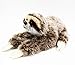 TAMMYFLYFLY Cute Realistic Three Toed Sloth Plush Stuffed Animal Toy 12inch