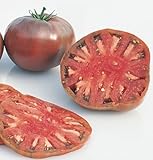 Beefsteak Tomato Cherokee Purple D753A (Purple) 25 Organic Heirloom Seeds by David's Garden Seeds