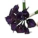 Angel Isabella 10pc Set Real Touch Calla Lily-Feels just Like Real (Purple)