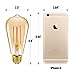 Emotionlite Vintage Edison LED Light Bulbs, Dimmable E26 Bulb, 4W(40W Equivalent), Amber Yellowish, 2200K, ST64 Teardrop, 6 Pack, UL Listed