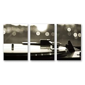 3 Piece Canvas Wall Art Microphone Canvas Prints Home Artwork Decoration for Living Room,Bedroom - 16"x24" x 3 Panels