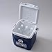 Igloo Quantum 18 Can Cooler