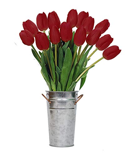 Stargazer Barn - 15 Stem Red Tulips (Vase Not Included) - Fresh Flowers for Delivery - Gift for Anniversary, Birthday, Congratulations, Get Well, Graduation, Sympathy