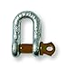 Titan 10319062, D Type Anchor Shackle 1/4-Inch Hot Dip Galvanized with Screw Pin, 41641 Ton WLL