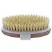 TopNotch Beechwood Dry Body Brush Extra. Long Natural Bristles. Skin Brushing eBook