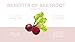 Noix de Coco Organic Superfood Face Mask - Reduces Pores & Acne - Tightening & Hydrating - All Natural, Vegan, Cruelty Free, Non-Toxic (Beet)