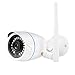 Wireless Security Camera, 720p LeFun WiFi Indoor/Outdoor Camera Home Surveillance Camera with Waterproof Night Vision Motion Detect Remote Viewing and Control for Security System
