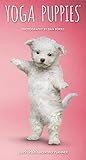 Yoga Puppies 2019 3.5 x 6.5 Inch Two Year Monthly Pocket Planner, Animals Humor Puppy (Multilingual by