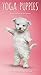 Yoga Puppies 2019 3.5 x 6.5 Inch Two Year Monthly Pocket Planner, Animals Humor Puppy (Multilingual by