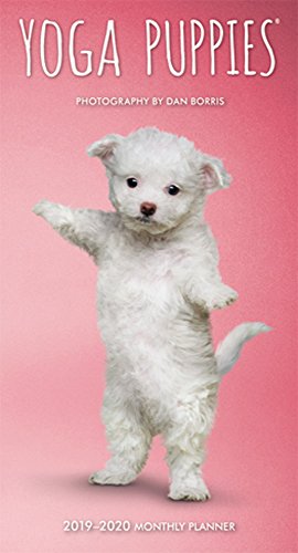 Yoga Puppies 2019 3.5 x 6.5 Inch Two Year Monthly Pocket Planner, Animals Humor Puppy (Multilingual by 