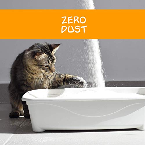 Petfive Garfield Cat Litter Ultimate Clump, All Natural, Fast Clumping