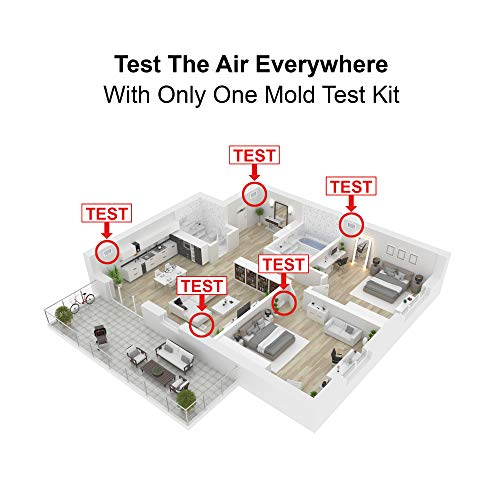 HVAC Mold Test Kit Professional Grade Air Test Kit Easy DIY at Home Kit Lab Analysis