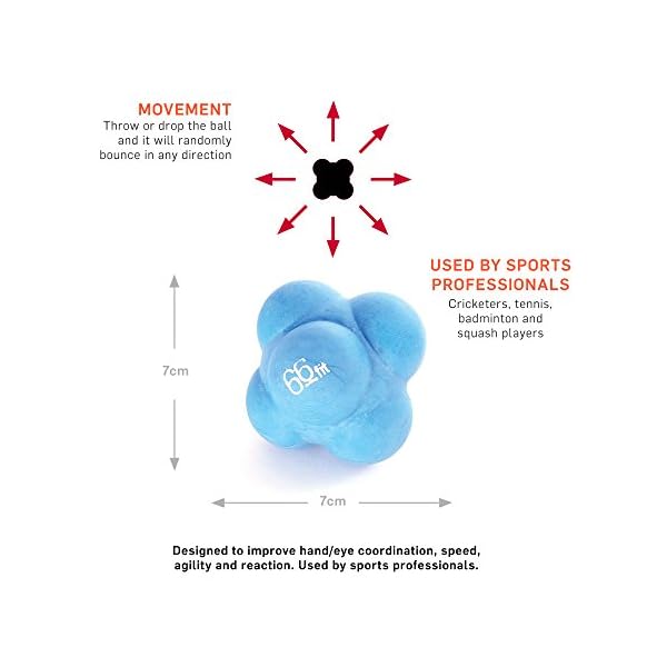 66fit-Wobble-Balance-Board-36cm-Includes-Balance-Training-Ebook-Ankle-Knee-Back-Hip-Exercise-Strength-Training-Black-Speed-Reaction-Ball-7cm-Speed-Agility-Sports-Reflex-Training-Fitness 66fit Wobble Balance Board 36cm - Includes Balance Training Ebook - Ankle Knee Back Hip Exercise Strength Training…