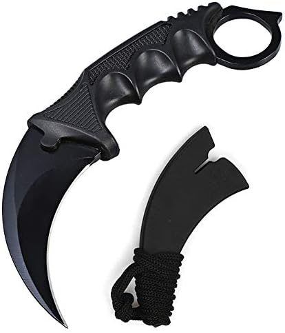 Wetop Karambit Knife Stainless Steel Fixed Blade Tactical Knife with Sheath and Cord Knife CS-GO for Hunting Camping Self Defenses and Field Survival …
