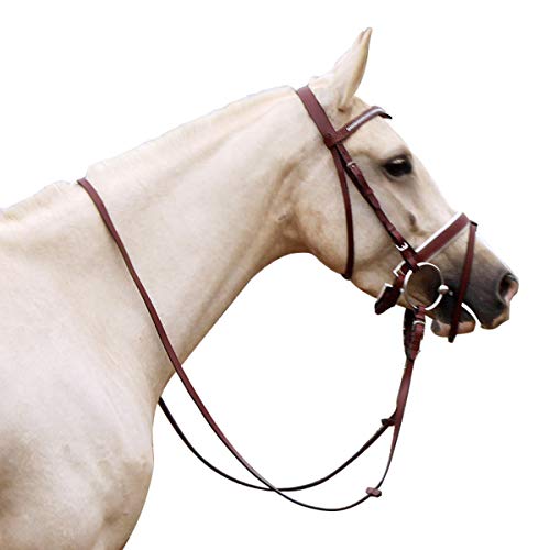 Best Miniature horse driving harness bridle (February 2020) ★ TOP VALUE