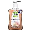 Dettol-Moisture-Antibacterial-Hand-Wash-Soap-Grapefruit-Dispensing-Pump-250-ml Dettol Moisture Anti Hand Wash Soap Dispensing Pump, 250 ml, Grapefruit, 1 Count