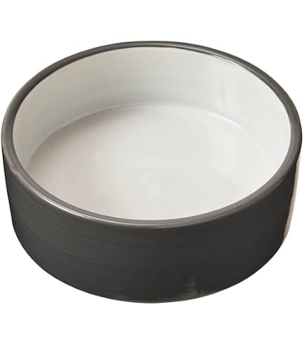 cat wet food feeder Smart Feeder  BistroCat